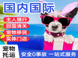 宜昌三峡航空运输国际宠物托运 【国